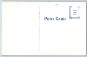 Comic Rumor Postcard Risque Man Driving Car Dangerous Curves Ahead c1930's