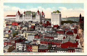 New York Albany Birds Eye View From Cathedral Tower 1916