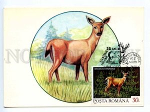 419798 ROMANIA 1993 year Animals Deer First Day maximum card