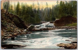 1910's Swallow Falls Near Mountain Lake Park Maryland MD Stream Pines Postcard