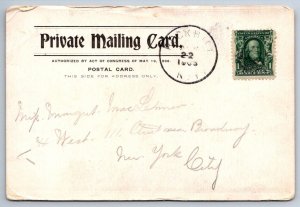 Hector Falls, Sullivan County New York, Antique Private Mailing Card PMC