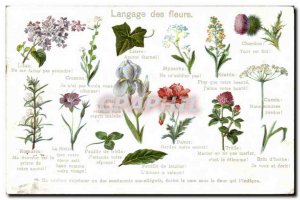 Old Postcard Fantasy Flowers language