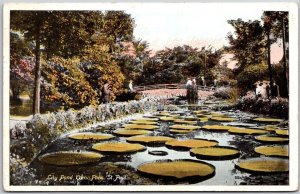 1917 Lily Pond Coma Park Saint Paul Minnesota Bridge Landscape Posted Postcard