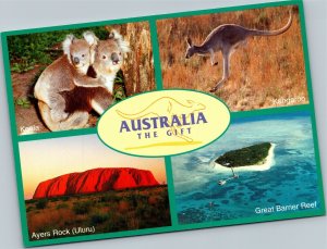 Postcard Australia The Gift Koala Kangaroo Ayers Rock Uluru Great Barrier Reef