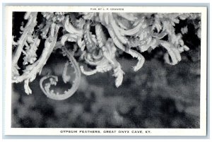 c1960's Gypsum Feathers Great Onyx Mammoth Cave Kentucky KY Unposted Postcard 