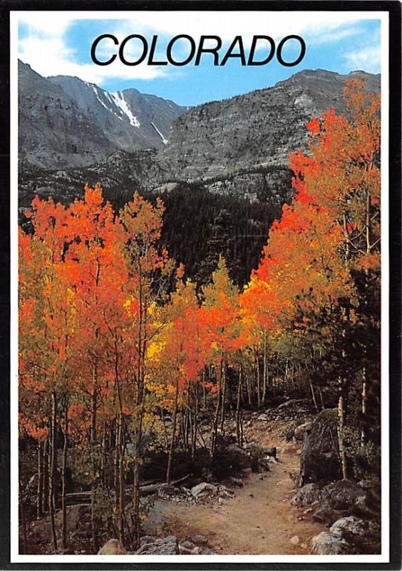 Colorado - Aspens