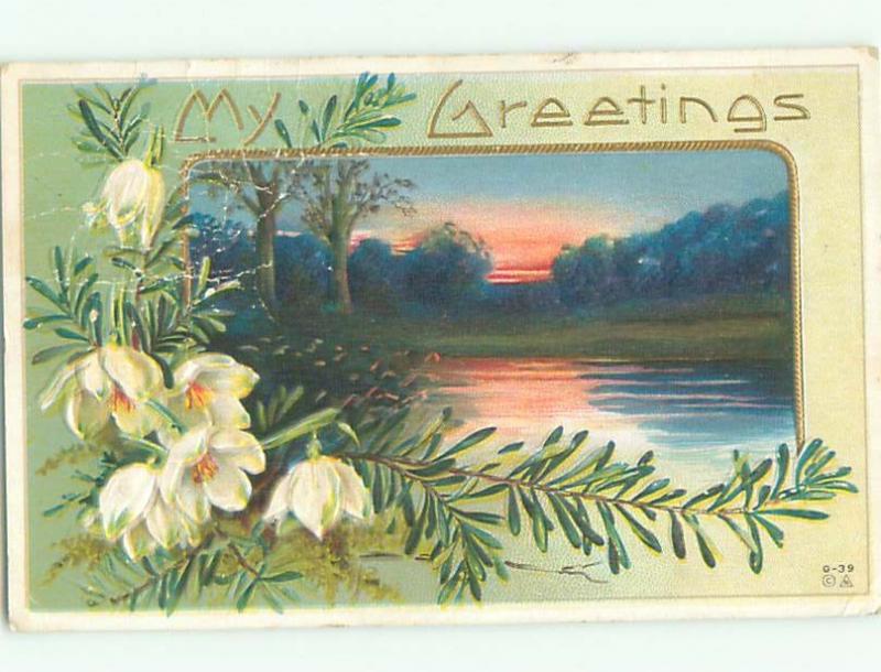 Divided-Back BEAUTIFUL FLOWERS SCENE Great Postcard AA2996