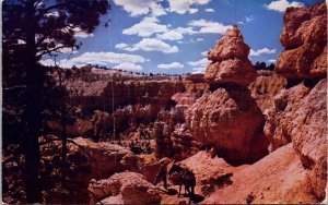 Saddle Horse Trail Bryce Canyon National Park Utah UT Postcard Kodachrome UNP 