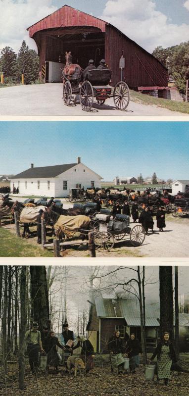 Mennonite Family Elmira Ontario 3x Postcard s