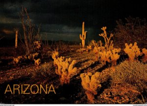 Arizona Storm At Sunset Over The Desert Showing Cactus