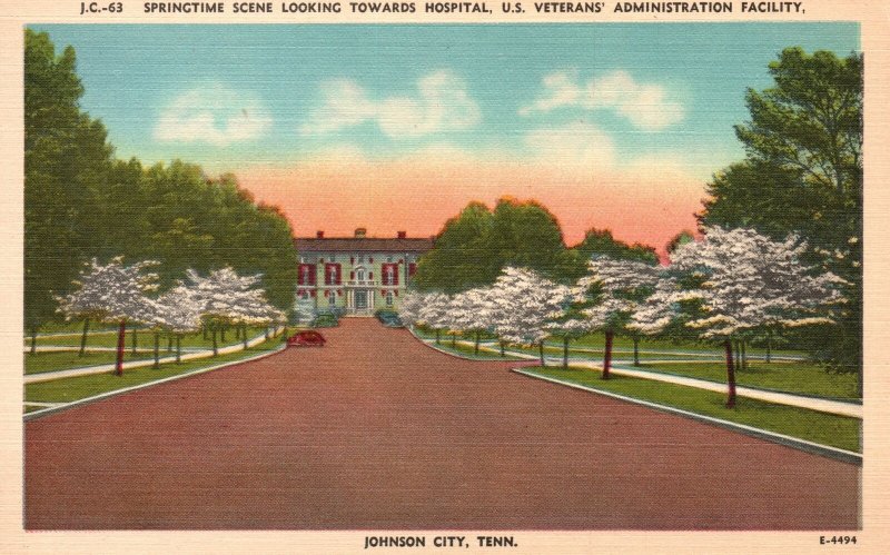 Vintage Postcard Springtime Looking Towards Hospital Johnson City Tennessee TN