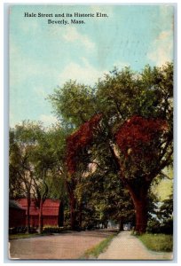  1913 Hale Street Historic Elm Beverly Massachusetts MA Vintage Antique Postcard