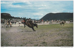 Bronco Horse Rider, Home of the famous Williams Lake Stampede, British Columb...