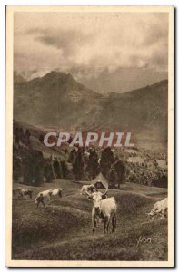 Pyrenees Old Postcard Pasture on the road to Col d & # 39Aubique (cows)