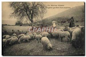 Old Postcard Morvan Bergeres keeping their sheep