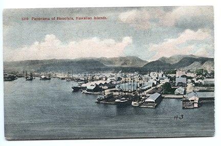 Honolulu HI 1909 Panorama View Cancel Postcard