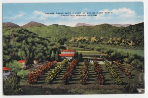 P2718 vintage postcard orange grove big boulder ranch arizona, unused