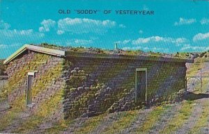 Nebraska Old Soddy Of Yesteryear