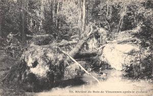 BR72330 riviere du bois de vincennes   apres le  cyclone france