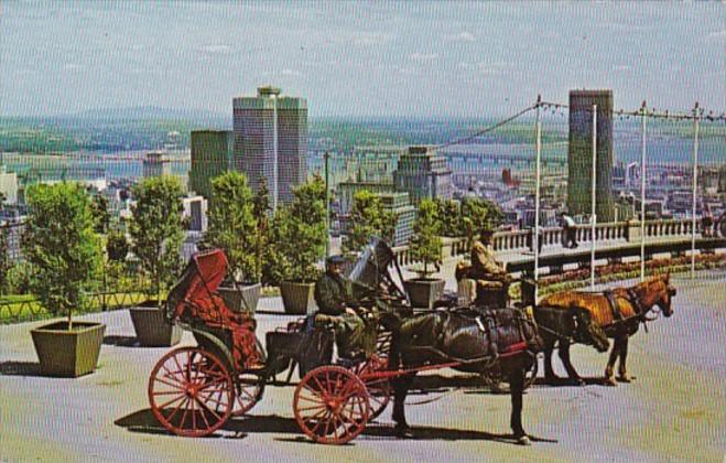 Canada Montreal Old French Horse Drawn Carriages On Mount Royal