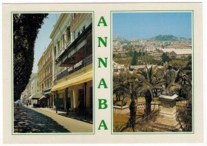 Algeria 2007 Unused Postcard Annaba Saint Augustine of Hippo Street View