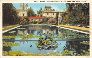 San Diego California 1926 Postcard Water Lilies In Bloom Balboa Park 