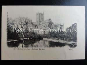 c1902 - Wells, The Cathedral, from Bishops Garden - Undivided Back 160515