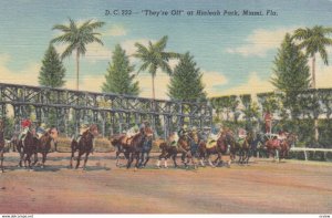 Horse Race Track , Hialeah , Florida , 1930-40s