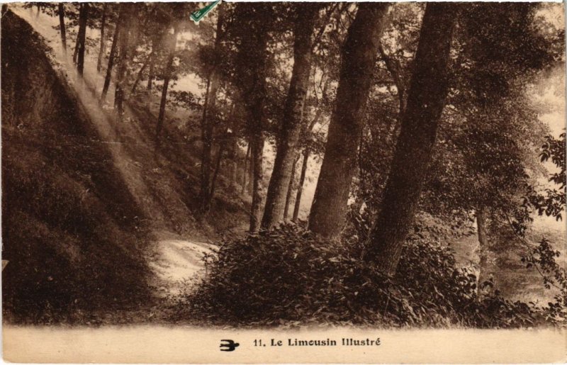 CPA Le Limousin Illustre - Foret - Forest Scene (1039686)