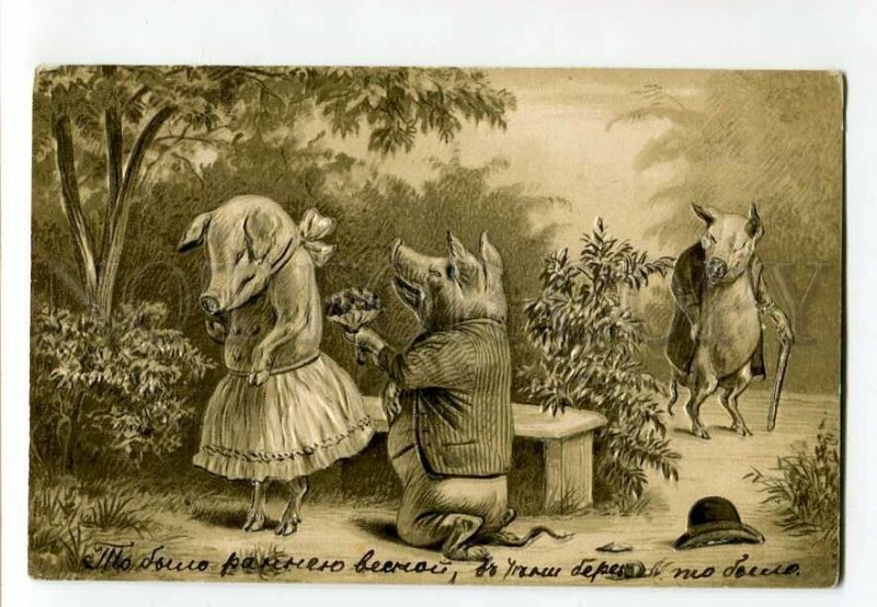 3134390 Dressed PIG ROMEO Lovers Vintage Embossed PC