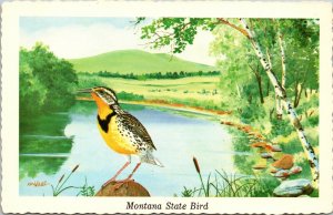 Montana State Bird, Western Meadowlark, Ken Haag Capitol Engravings Postcard