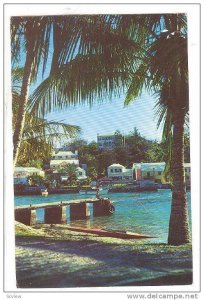 Flatts Inlet in Smith's Parish, Bermuda, PU-1961