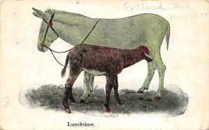 Lunchtime Donkey 1908 writing on front