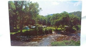 Vintage Postcard Zealand Campsite Camping Ground Crawford Notch New Hampshire