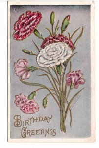 Birthday Greetings, Dianthus, Antique 1907 Postcard, Fred C Lounsbury