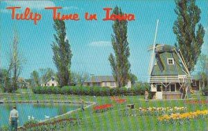 Iowa Ames Tulp Time In Iowa