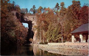 Natural Bridge Landmark Pavillion Virginia Scenic Landscape Chrome Postcard 