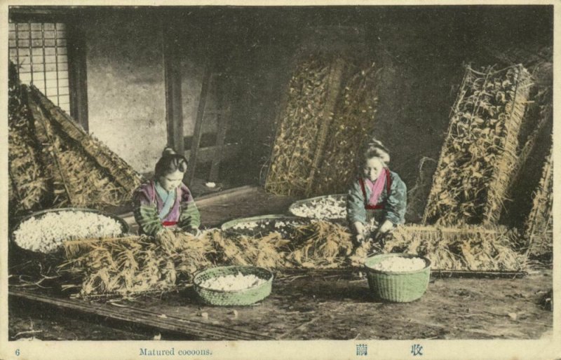 japan, Set of 10 Postcards, Native Japanese Silk Industry (1910s)