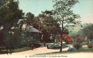 Saint Nazaire Le Jardin Des Plantes Botanical Garden France Vintage Postcard