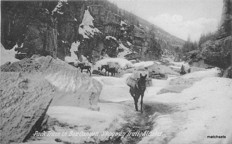 c1909 Pack Train Box Canyon Skagway Trail Alaska AYPE Portland postcard 8087