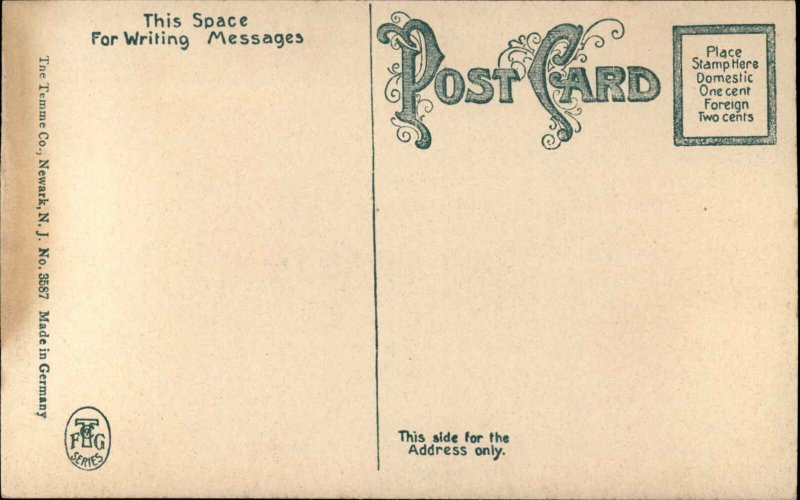 Easton Pennsylvania PA Paxinosa Inn c1910 Vintage Postcard