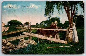 Patricksburg Indiana~Farm Scene W/ Lady & Cattle In Pasture~Vintage Postcard