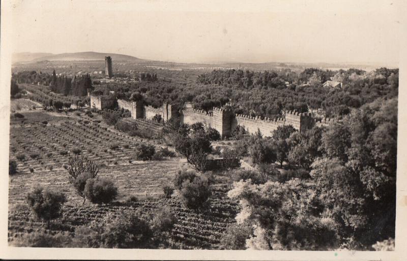 Algeria Tlemcen Mansourah ruins