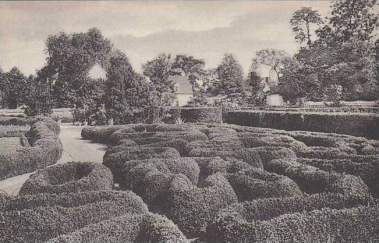 Virginia Mount Vernon Flower Garden Looking East Showing Boxwood Parterre Hom...