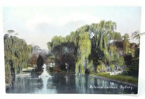 Ladies Relaxing in The Botanical Gardens Sydney NSW Australia Vintage Postcard