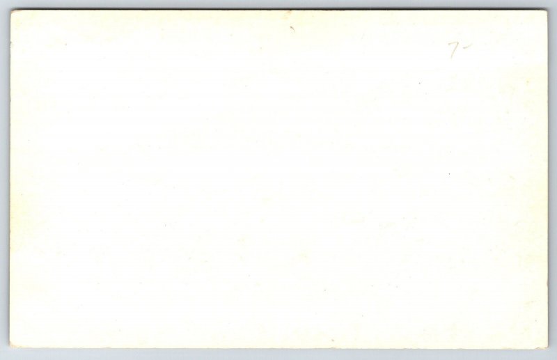 Wichita Kansas~Howard Mills~Peerless Princess Flour~c1910 Postcard