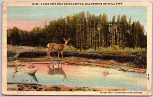 Park Near Near Grand Canyon Yellowstone National Park Wyoming WY Lake Postcard