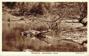 Uganda Crocodile Murchison Falls RPPC 06.19