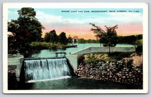 Moose Lake & Dam~Mooseheart nr Aurora IL~Loyal Order Of Moose~1935 Postcard