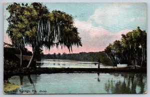 Outlet, De Leon Springs, Florida, Antique 1913 Leighton Postcard